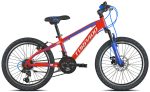MTB TORPADO TIGRE 20 SHIMANO TY21 12V